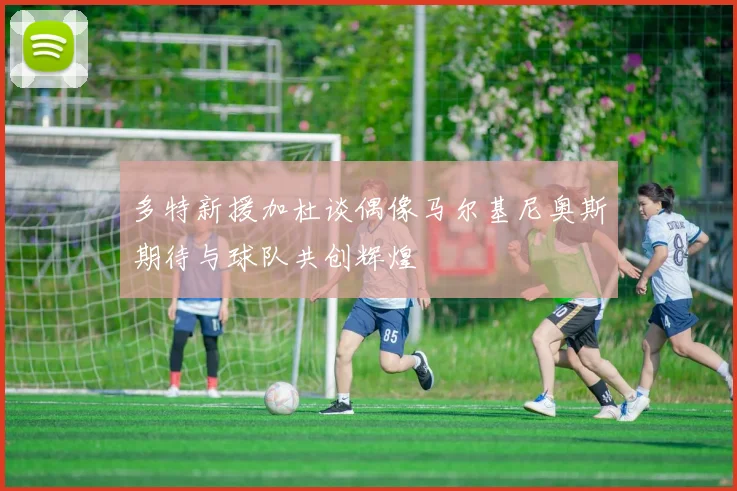 多特新援加杜谈偶像马尔基尼奥斯期待与球队共创辉煌